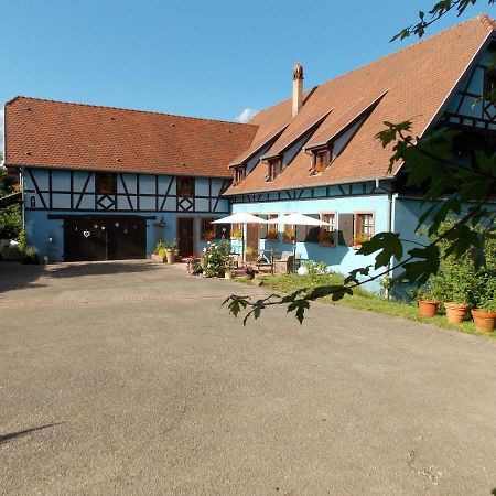 Le Gite Bleu Willgottheim Exterior foto