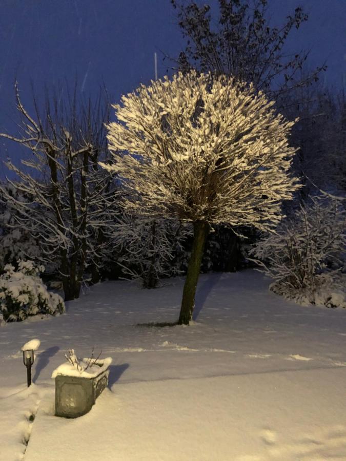 Le Gite Bleu Willgottheim Exterior foto